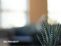 Thumbnail for www.dsproject.se