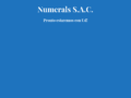Thumbnail for www.numerals.pe