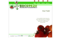 Thumbnail for www.socopaze.com