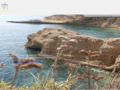 Thumbnail for www.visit-el-campello.com